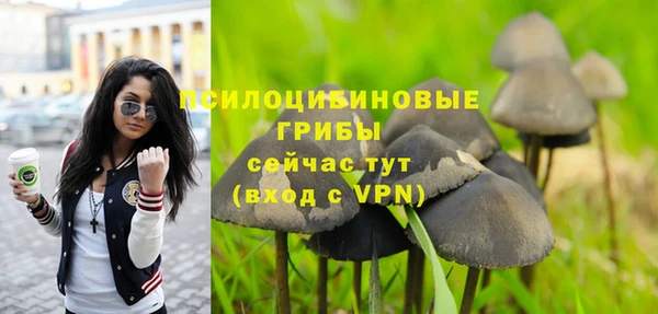 jwh Горняк