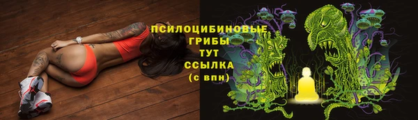 ешки Горнозаводск