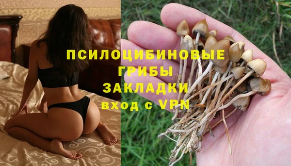 ешки Горнозаводск