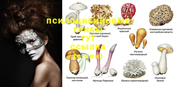 мяу мяу кристалл Горно-Алтайск
