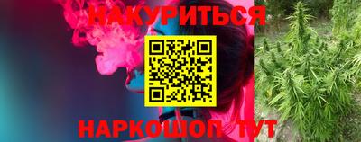 гидропоника Ирбит