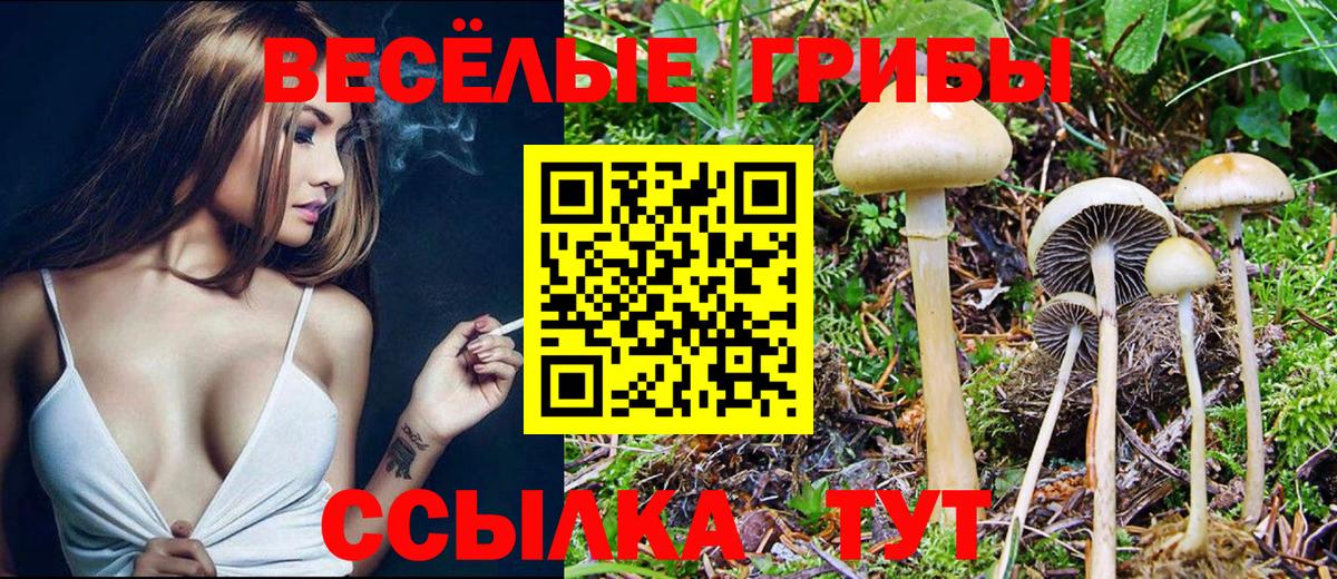 Псилоцибиновые грибы Cubensis Якутск